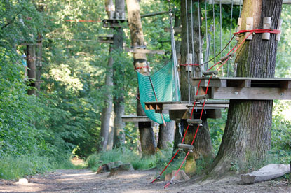 In einem Wald sind mehrere Bäume am Stück mit Plattformen und daran angebrachten Parcouren zu sehen.